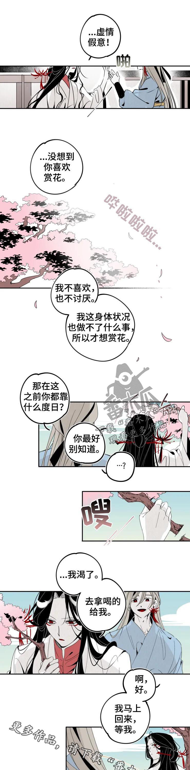 第18章：赏花5
