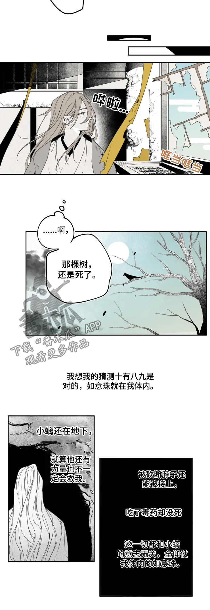 第52章：惋惜5