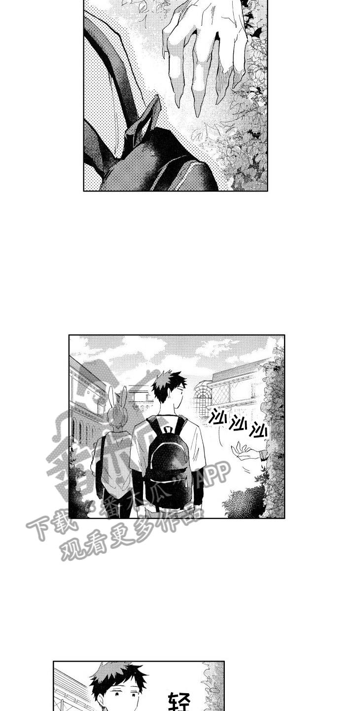 第8章：保护11
