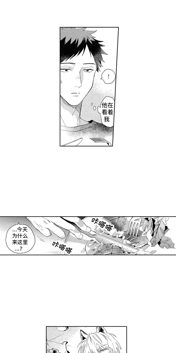 第13章：一起玩12