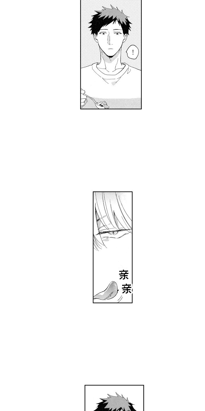 第8章：保护3