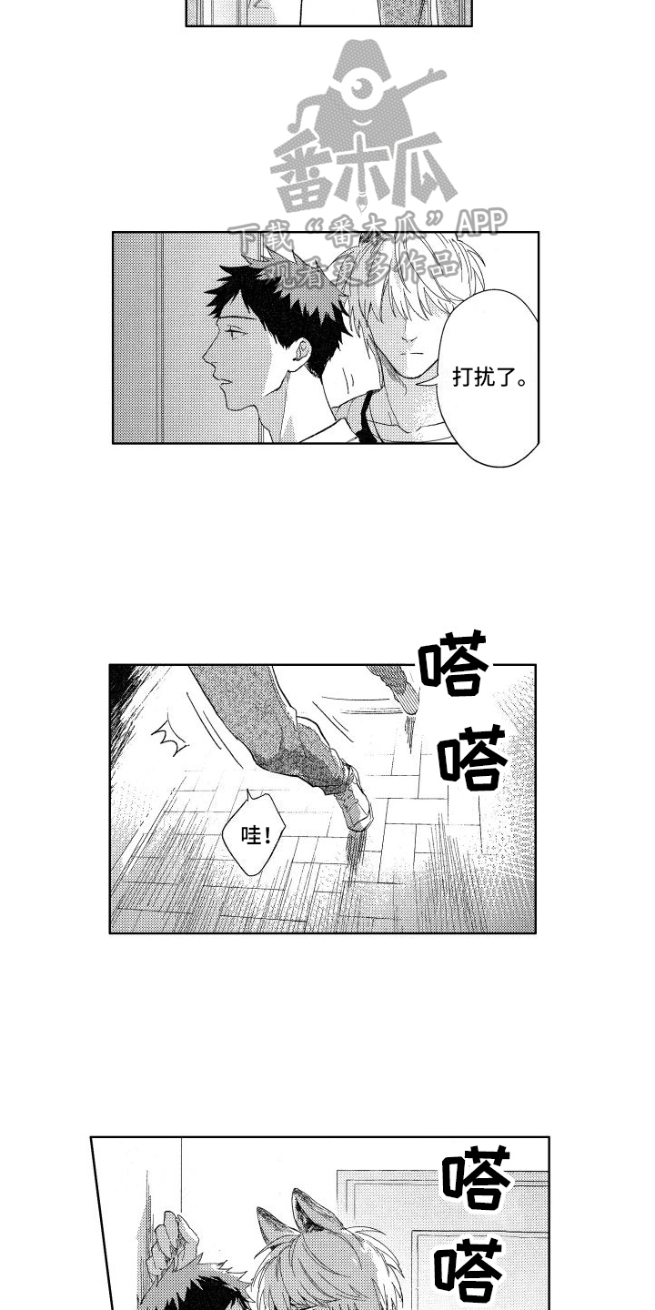 第17章：想法6