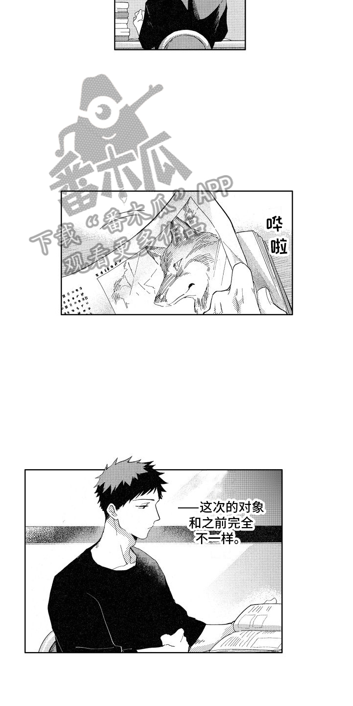 第11章：查询13