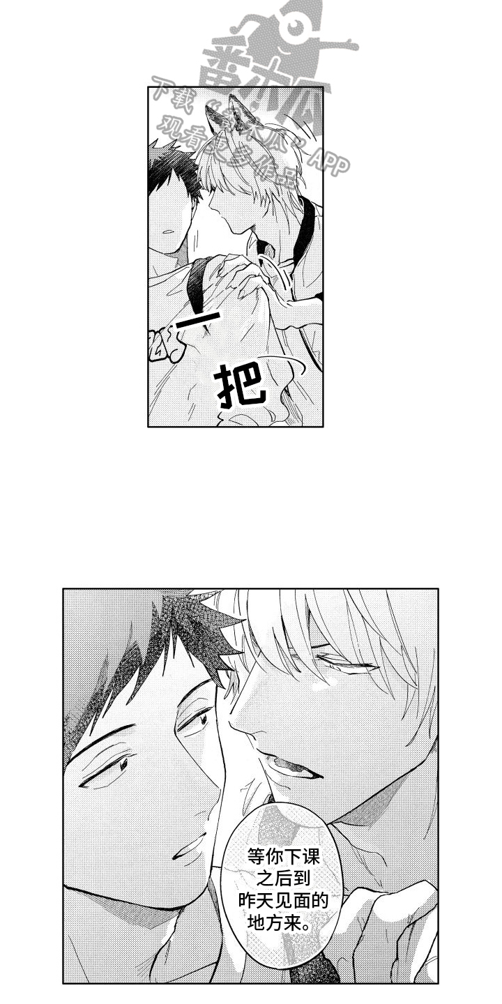 第5章：约见11