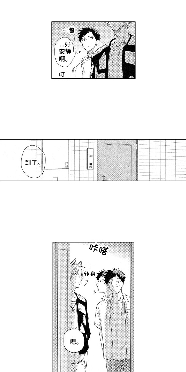 第17章：想法5