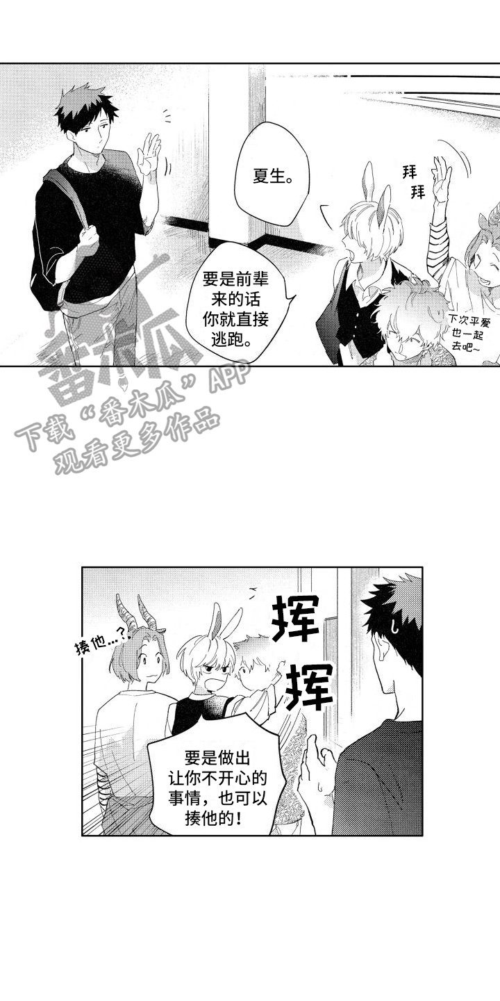 第11章：查询6