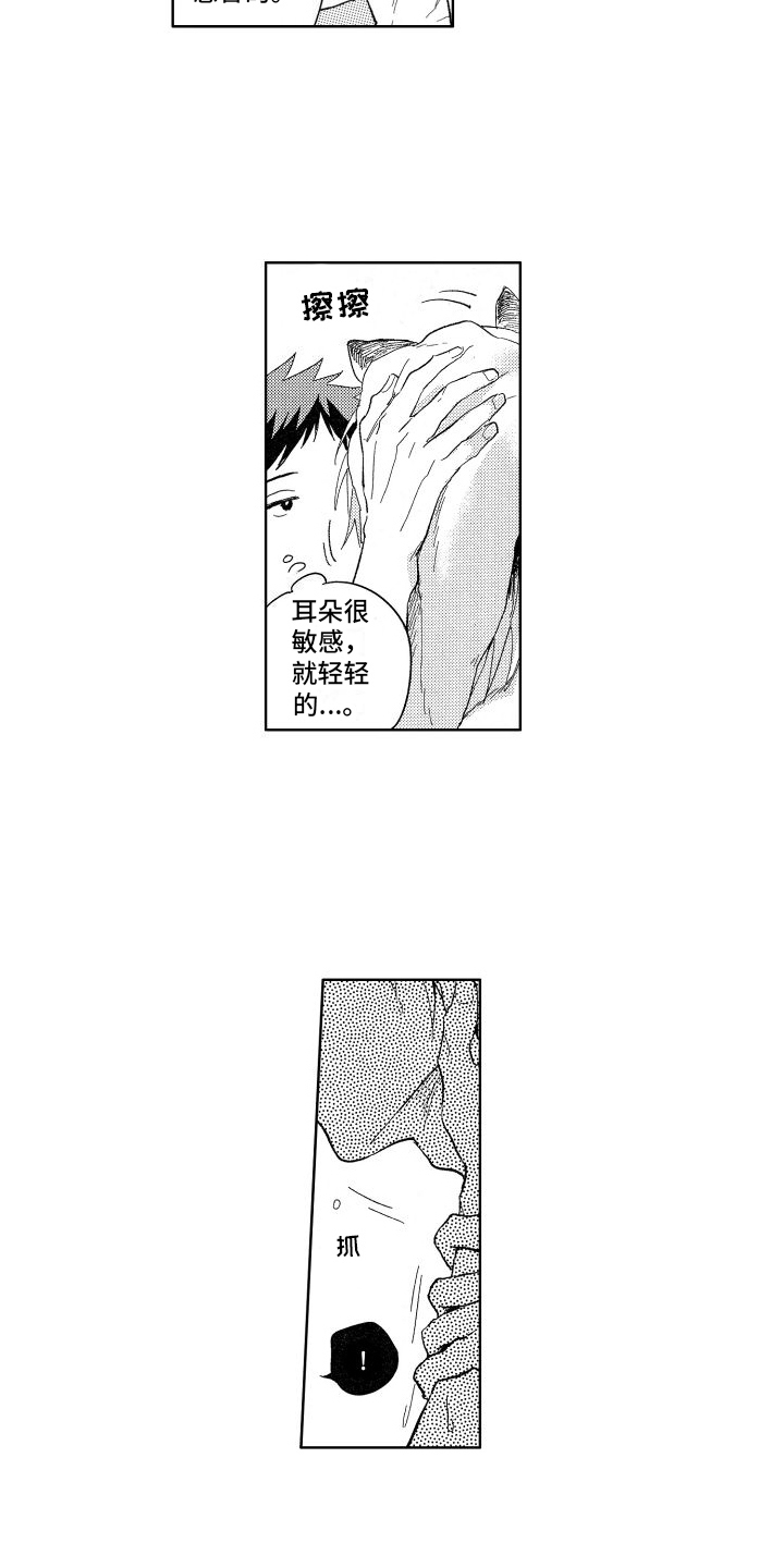第19章：温柔13