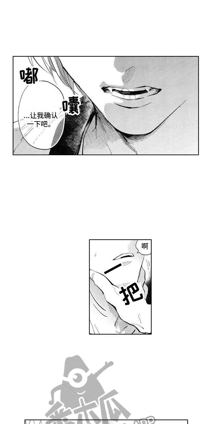 第6章：确认11