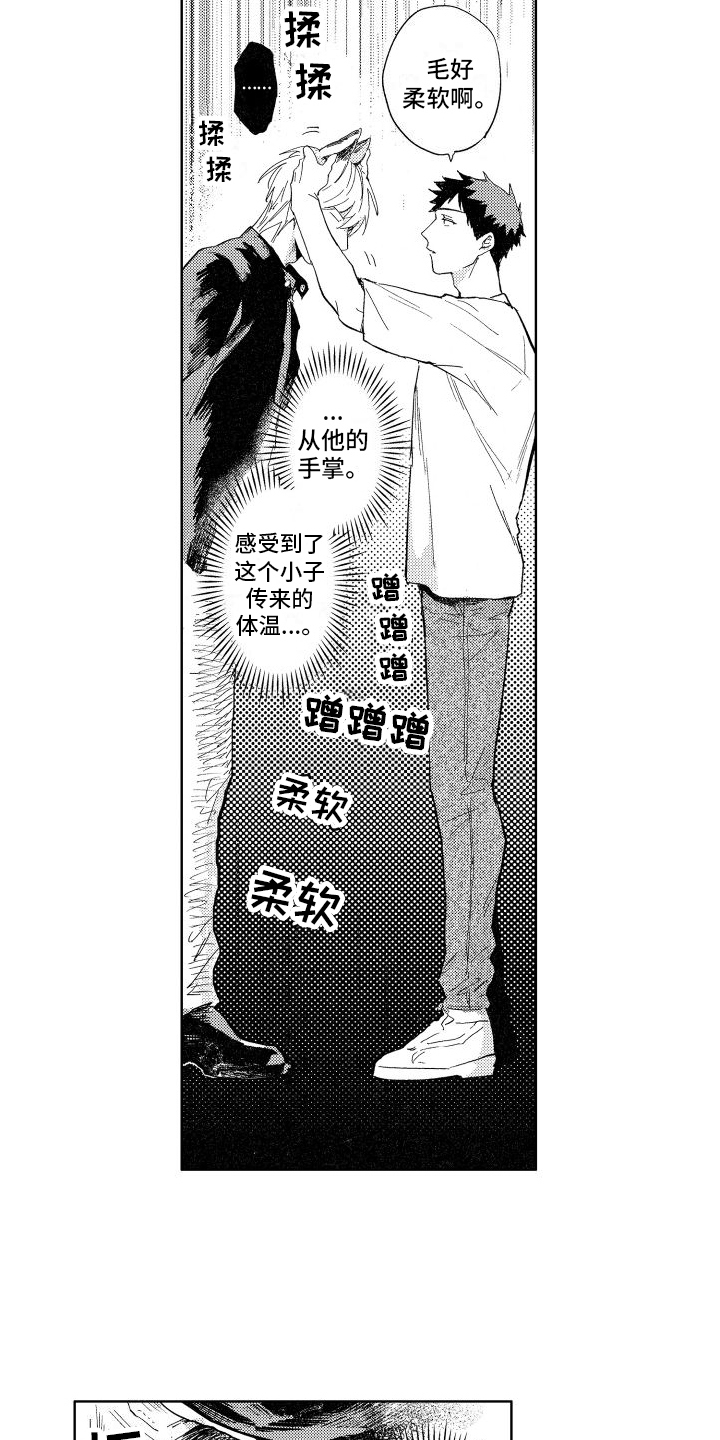 第3章：要求12