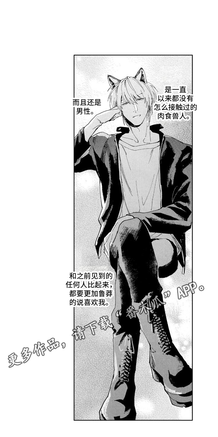 第11章：查询14
