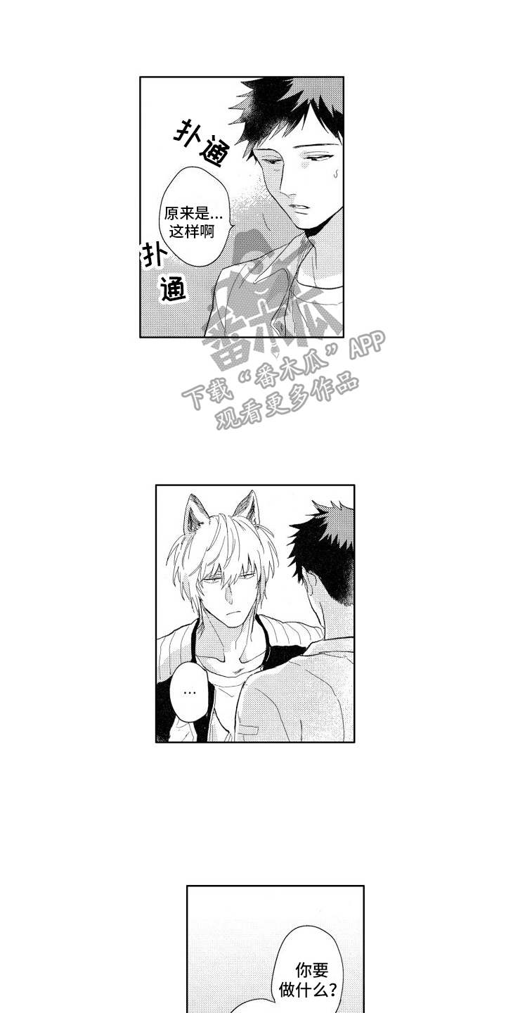 第17章：想法0
