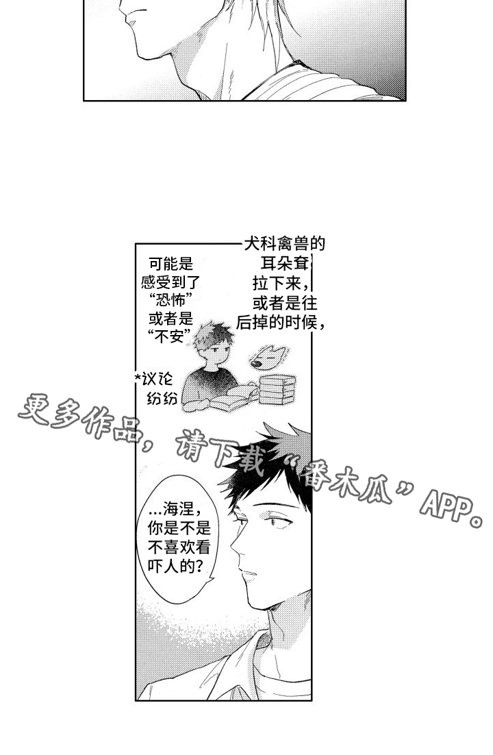 第15章：看电影13