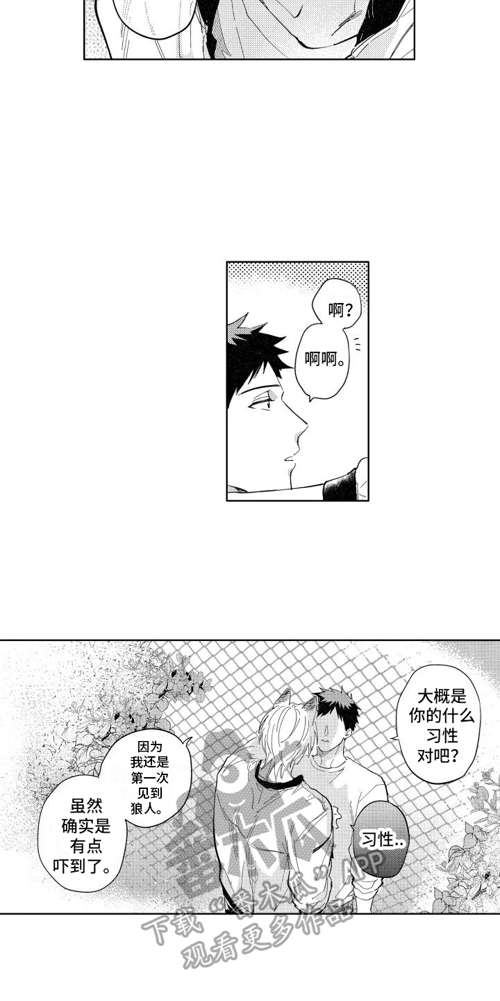 第6章：确认7