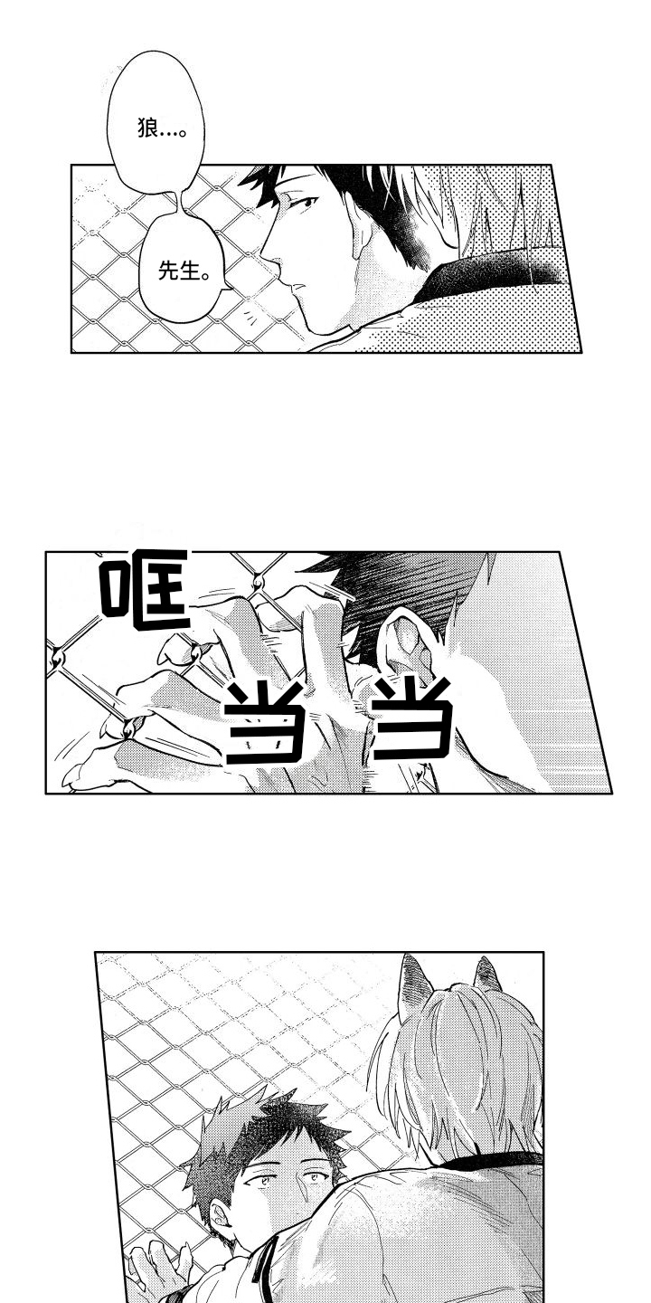 第6章：确认2