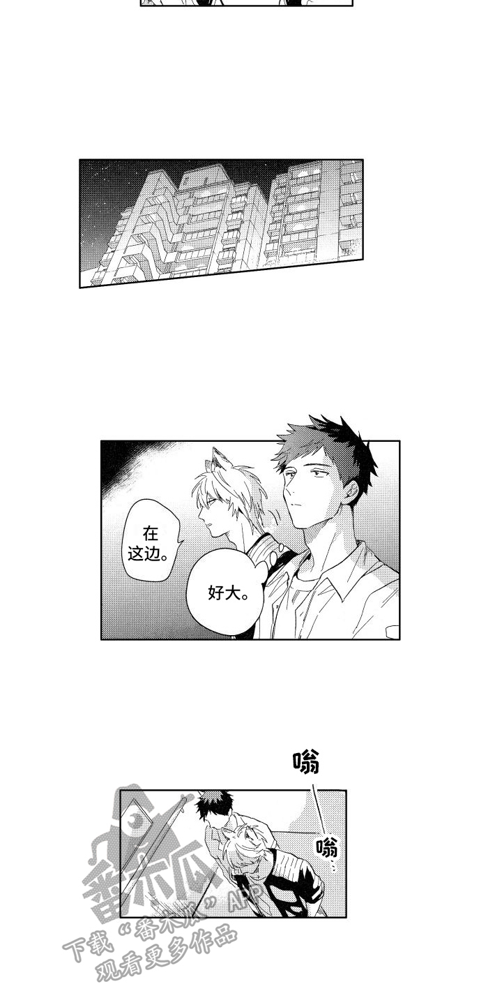 第17章：想法4