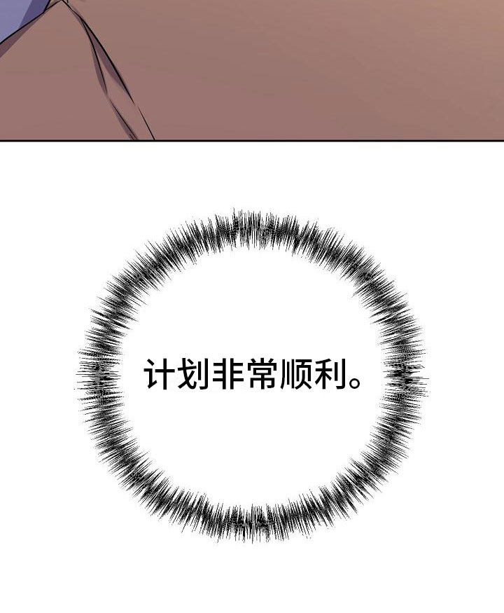 第11章：计划顺利29