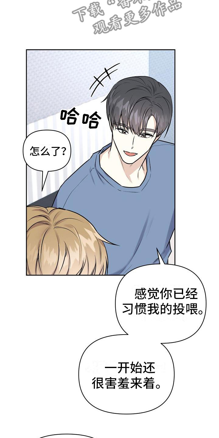第12章：我爱你【完】6