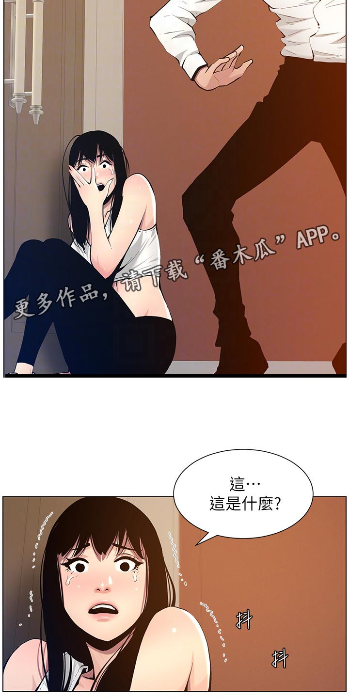 第204章：昔日的大气5