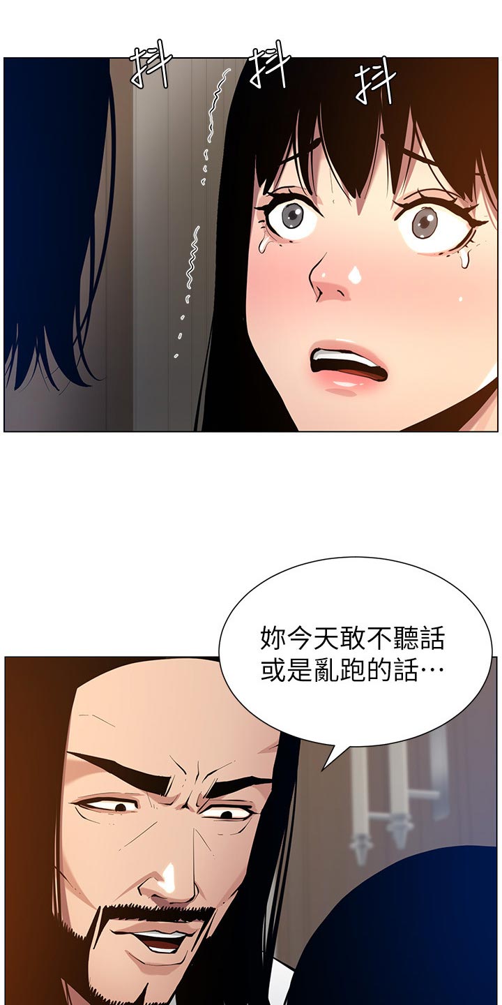 第204章：昔日的大气11