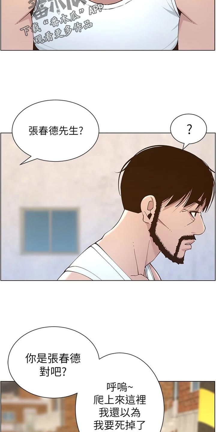 第225章：纠结21