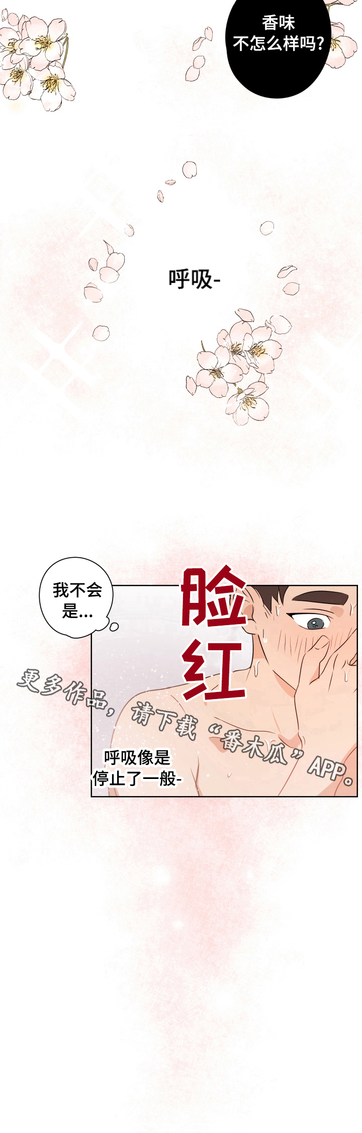 第18章：香味9