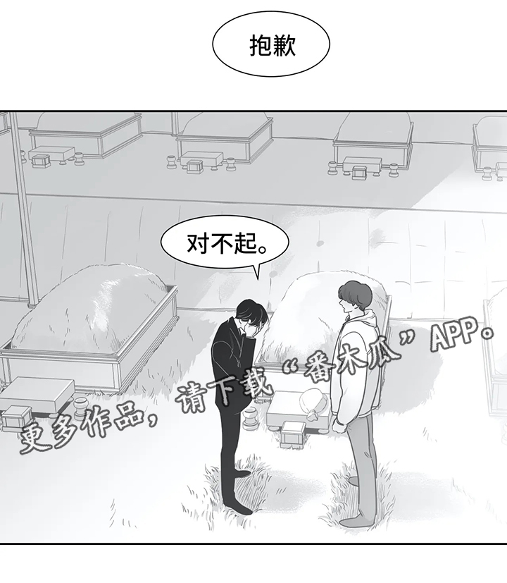 第40章：我喜欢你（第一季完）6