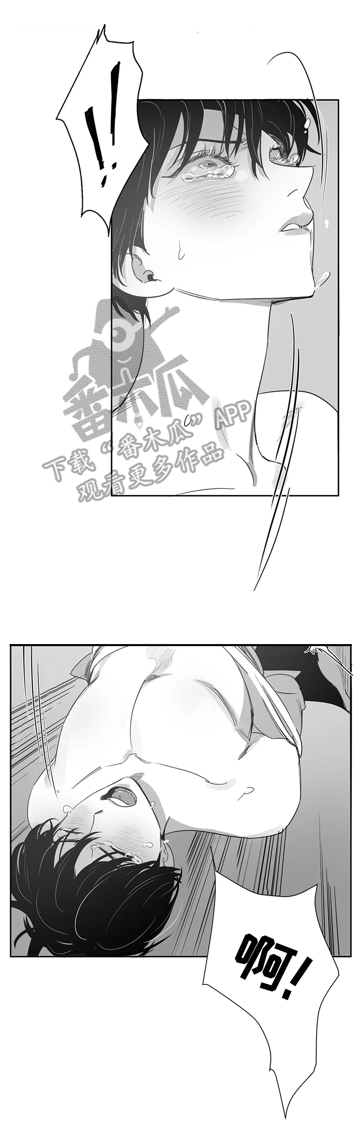 第55章：真正的目的7