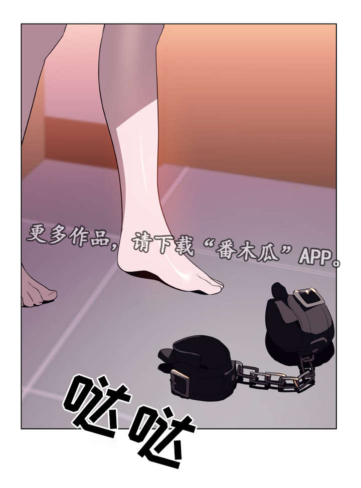 第25章：提议12