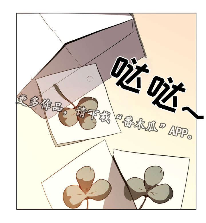 第25章：提议24