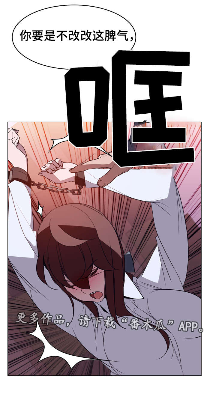 第25章：提议6