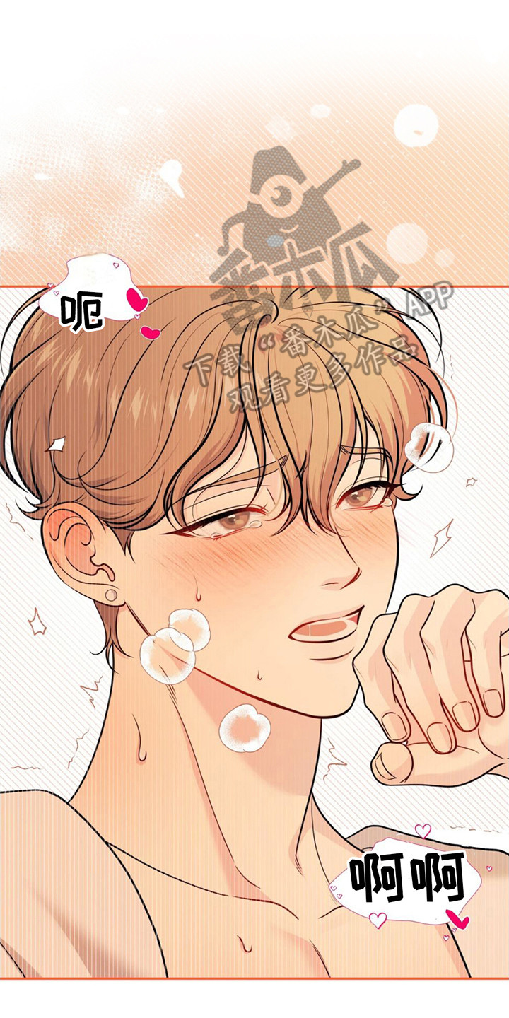 第17章：引导14