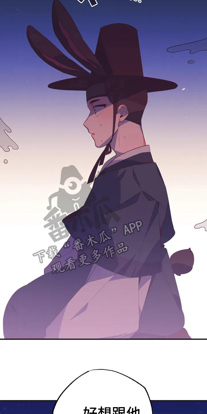 第11章： 兔子的处境：被迷住16