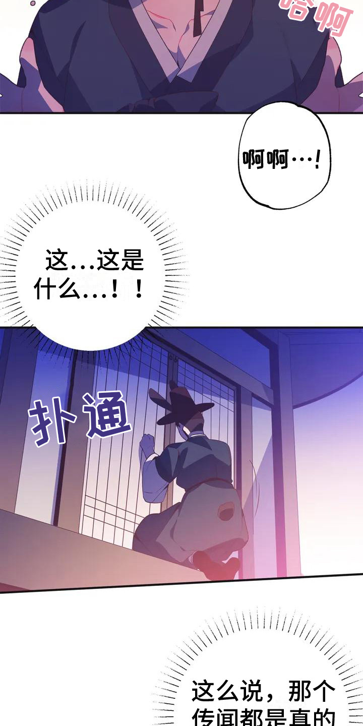 第11章： 兔子的处境：被迷住9