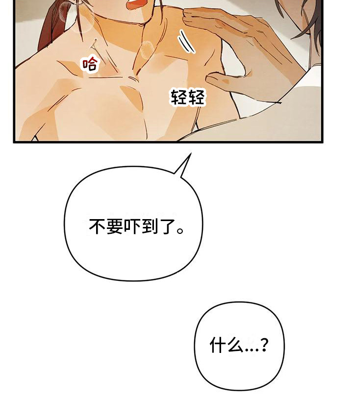 第27章： 请咬一口年糕：真心的 22