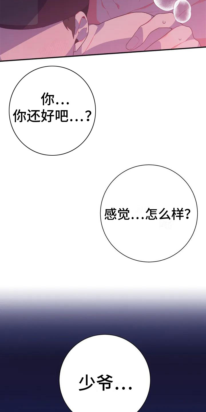 第11章： 兔子的处境：被迷住14