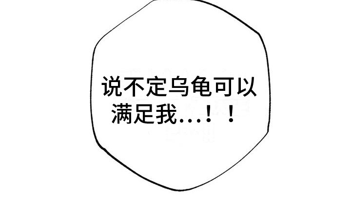 第11章： 兔子的处境：被迷住18