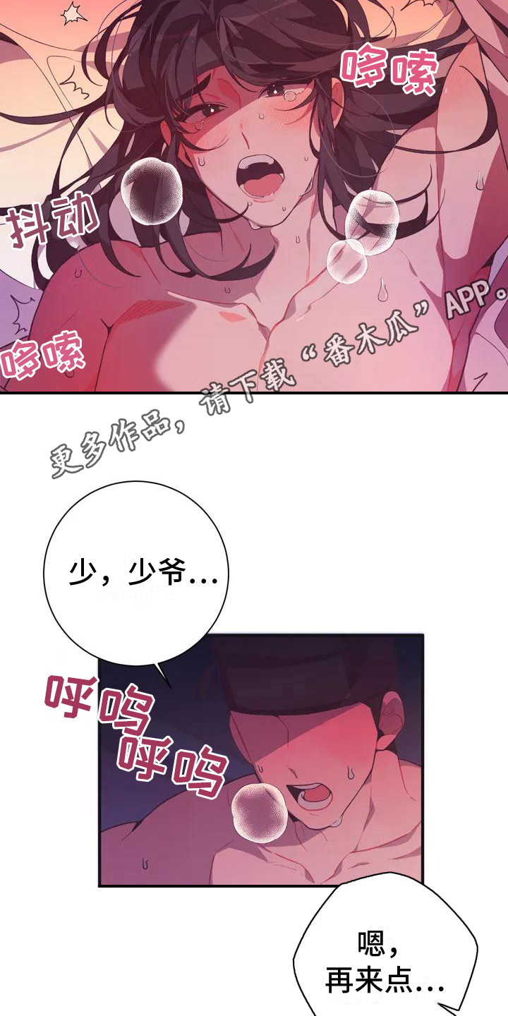 第9章：兔子的处境：兔子贵族5