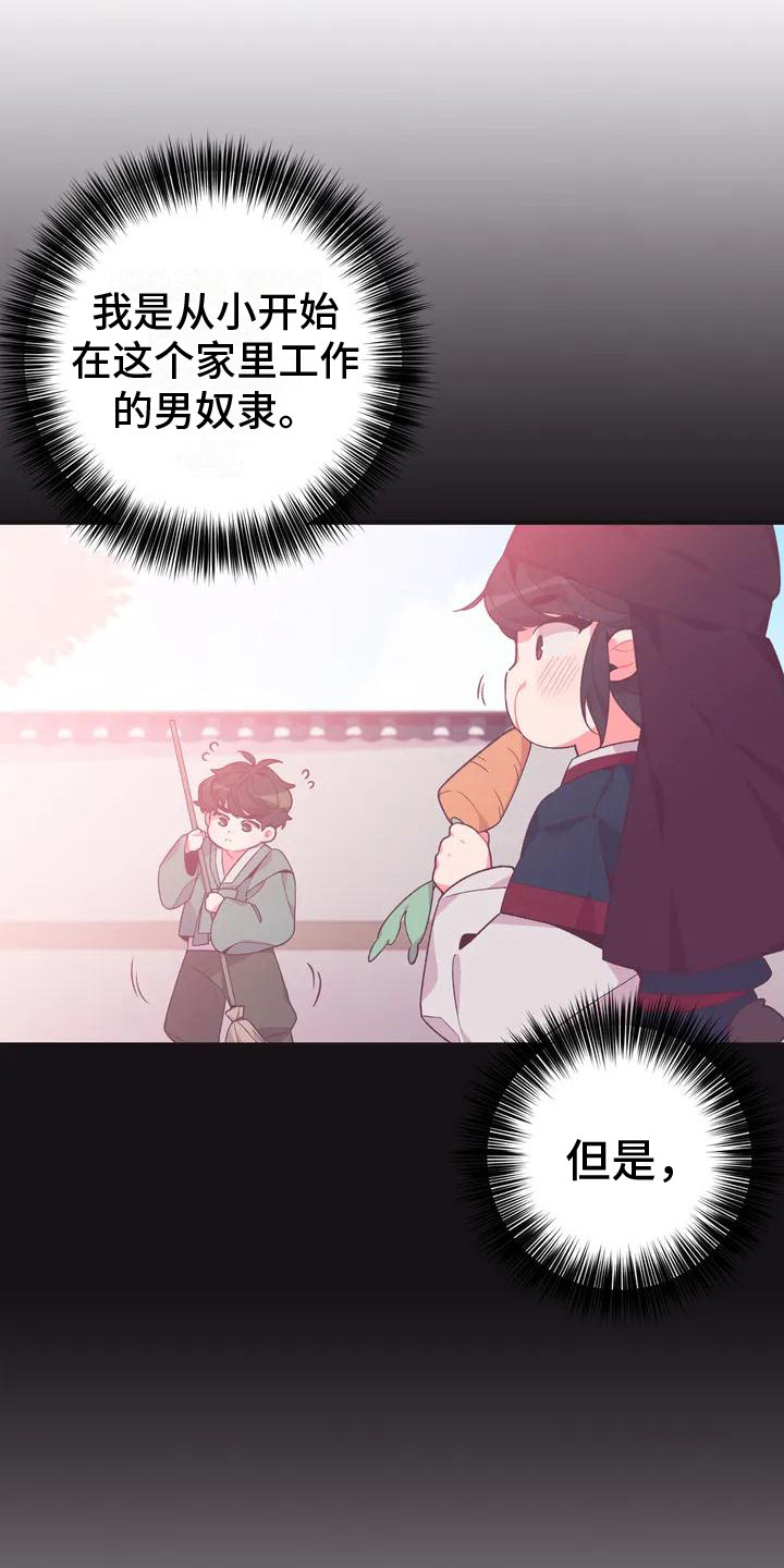 第9章：兔子的处境：兔子贵族20