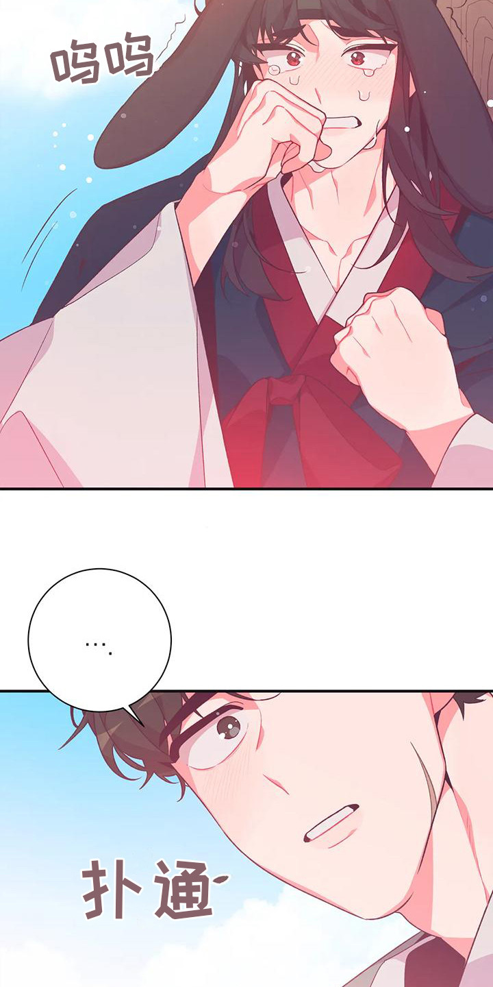 第15章：兔子的处境：真实想法9