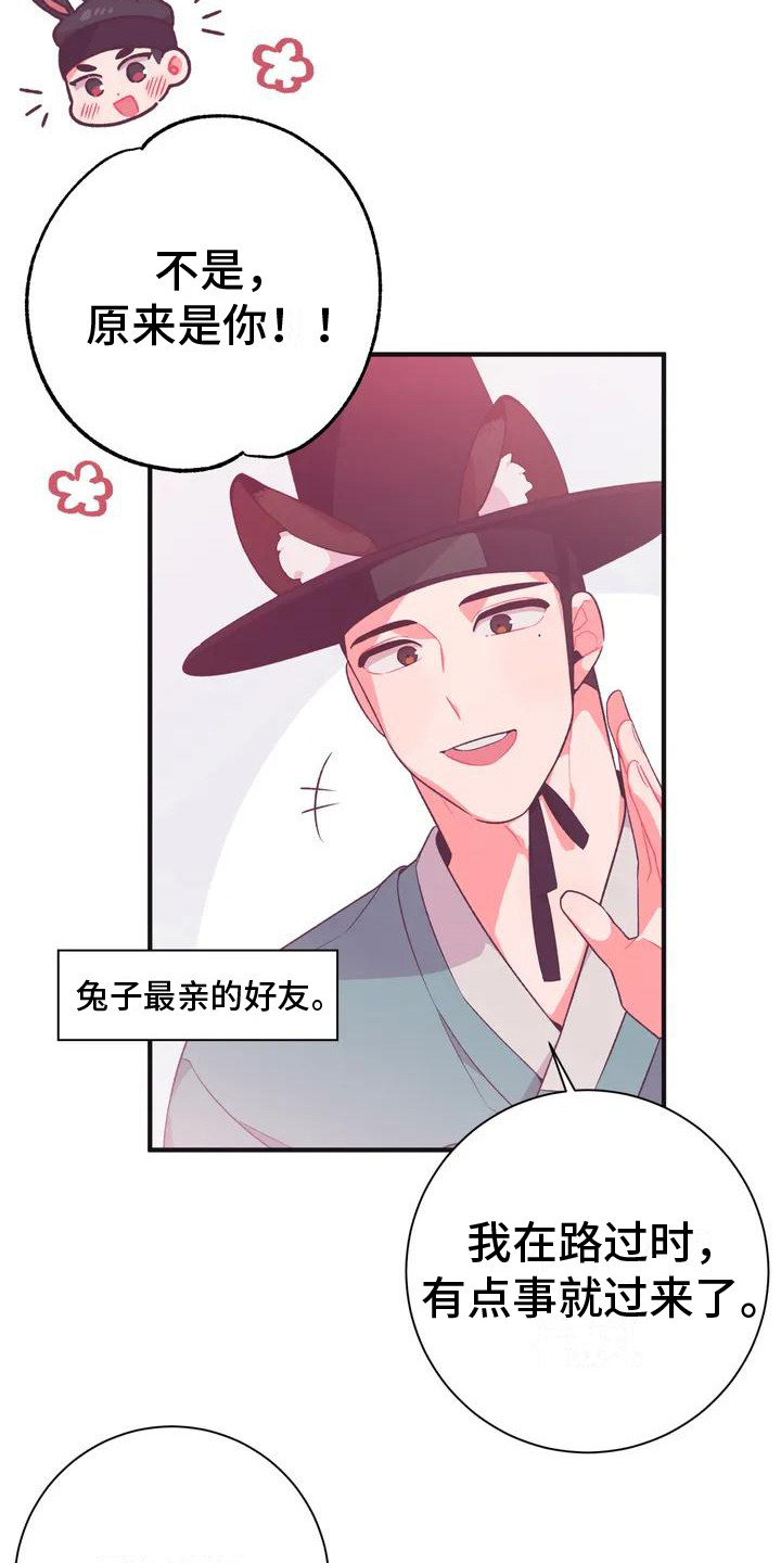 第9章：兔子的处境：兔子贵族23