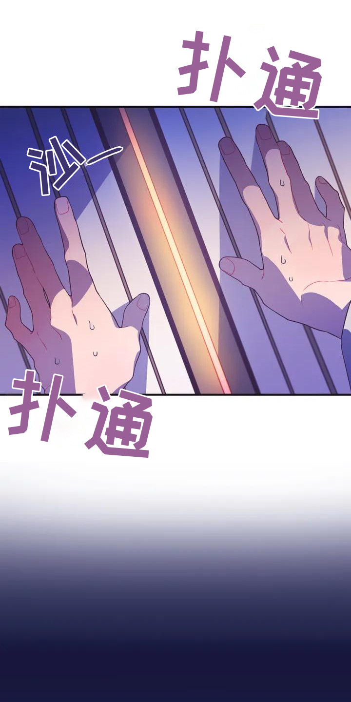 第11章： 兔子的处境：被迷住6