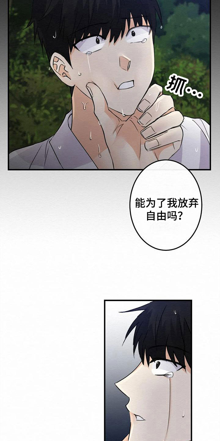 第7章：金棒棒银棒棒：不想忘记13