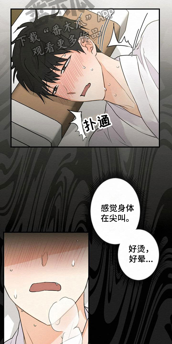 第4章：金棒棒银棒棒：没等到12