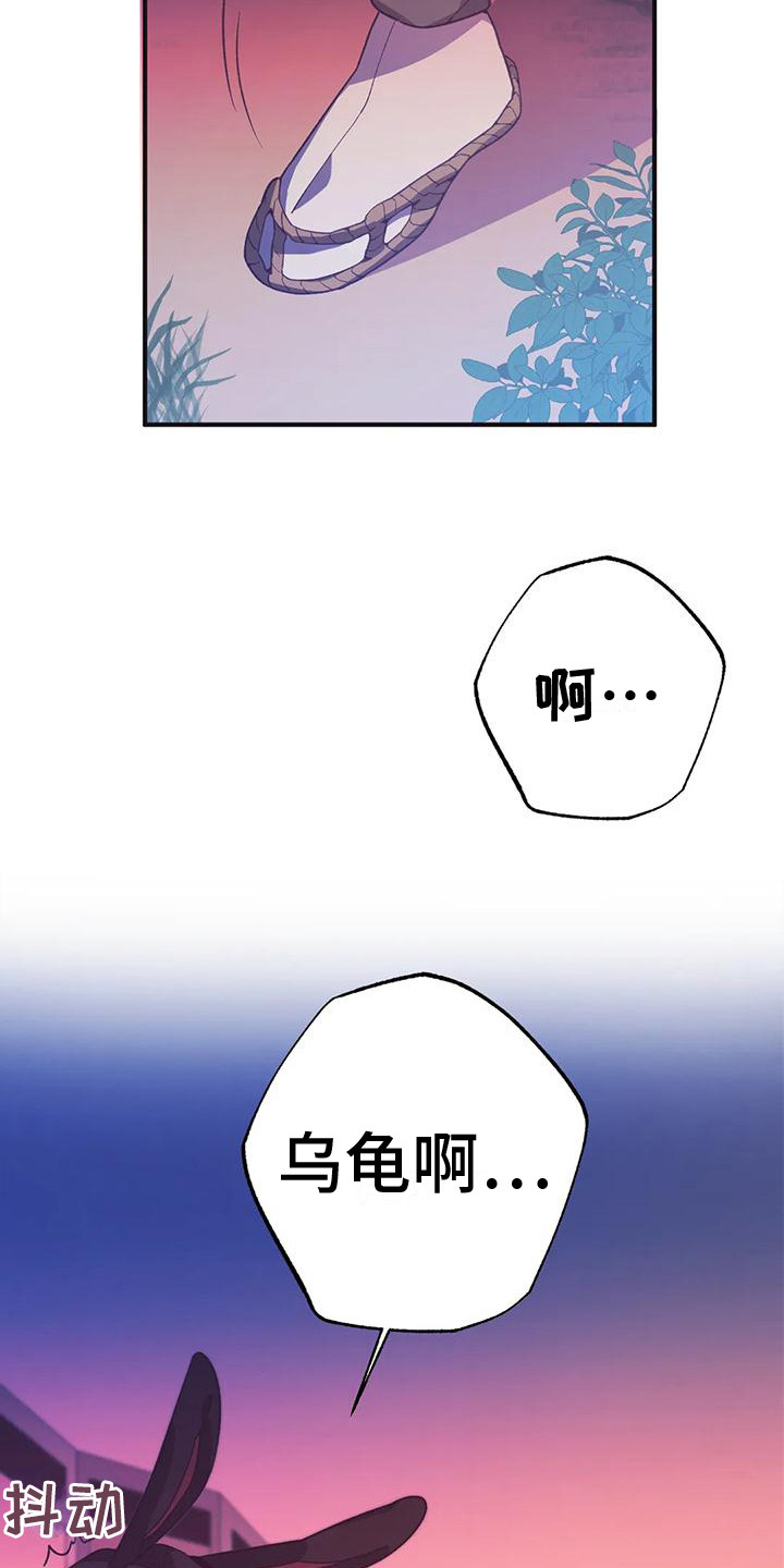 第13章：兔子的处境：等着瞧5