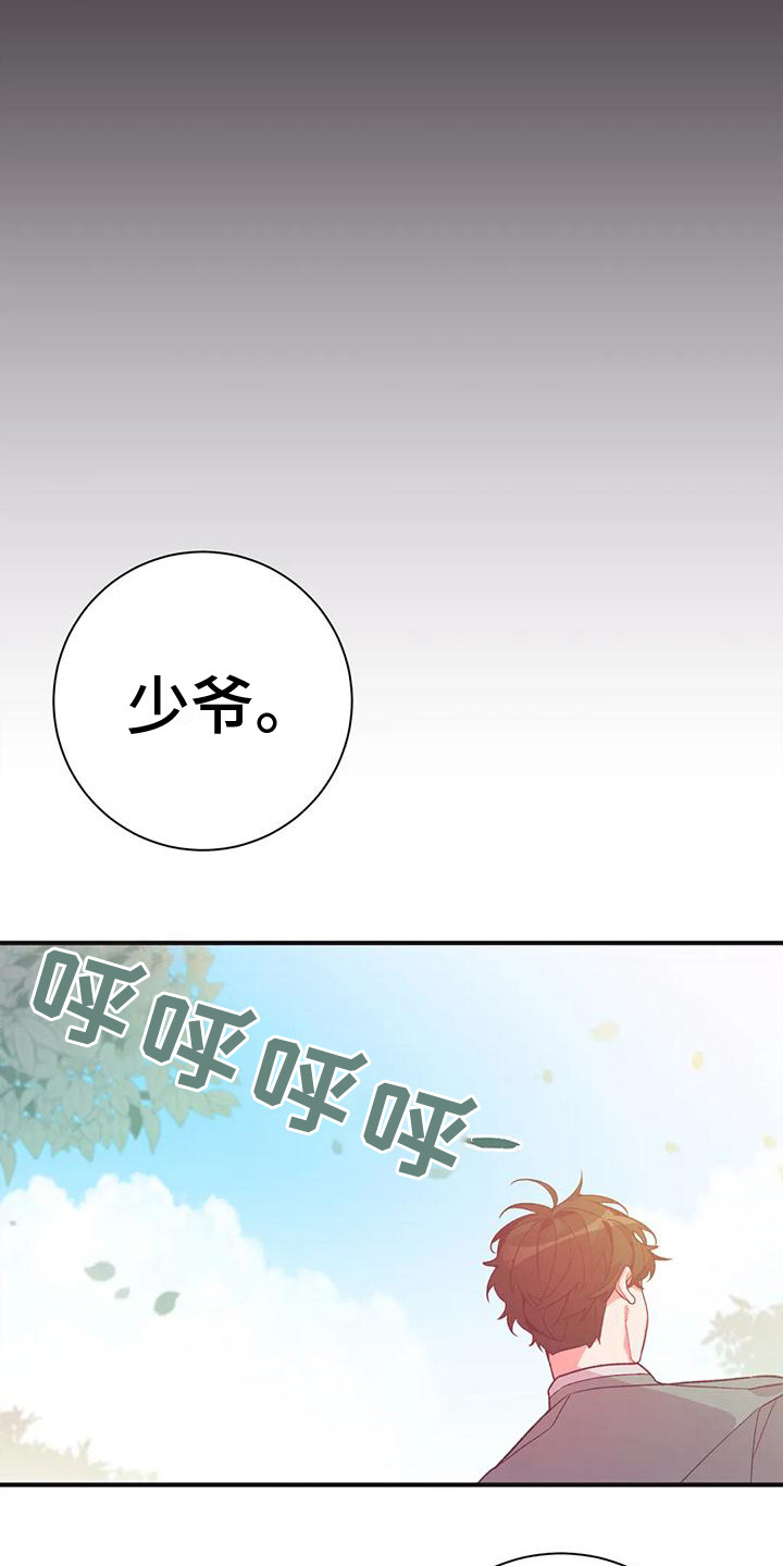 第15章：兔子的处境：真实想法18