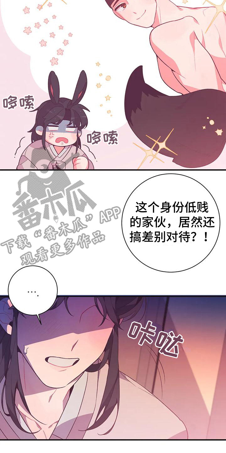 第12章：兔子的处境：拒绝22