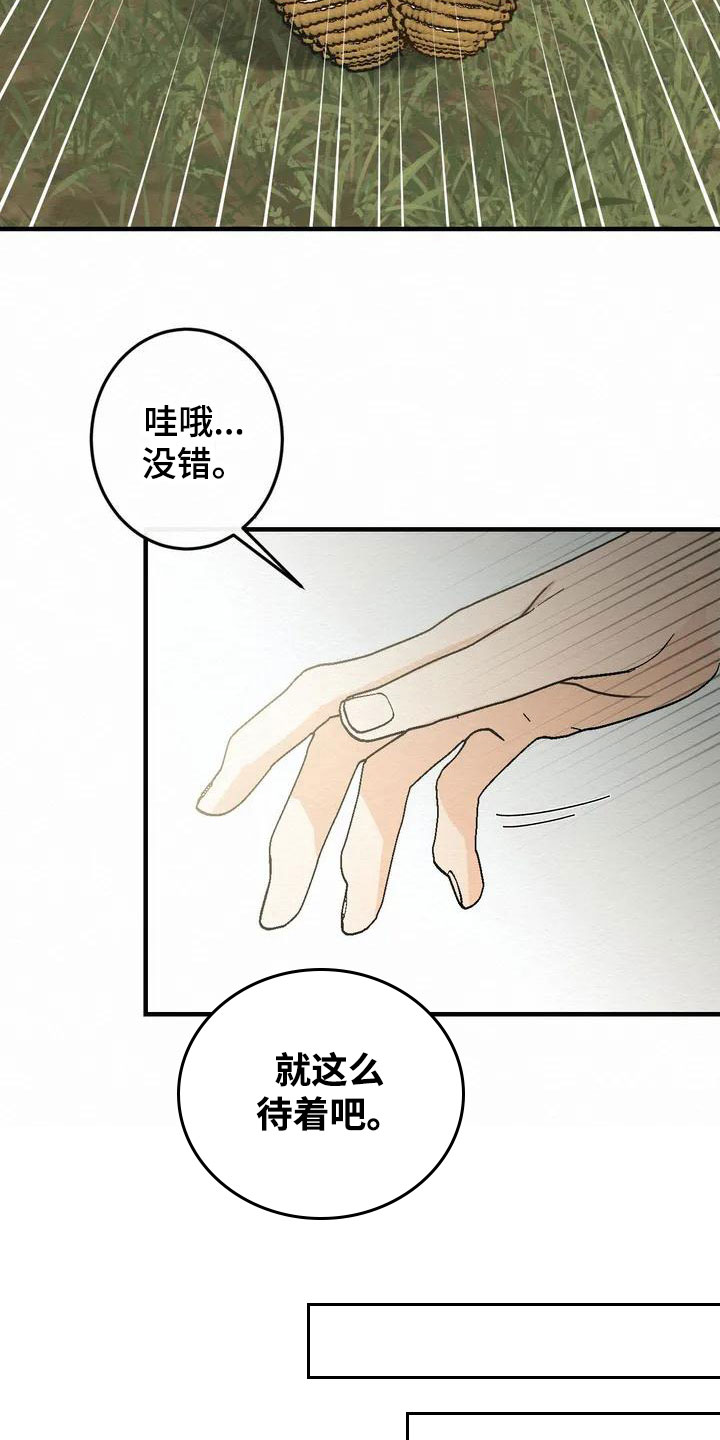 第2章：金棒棒银棒棒：约定16