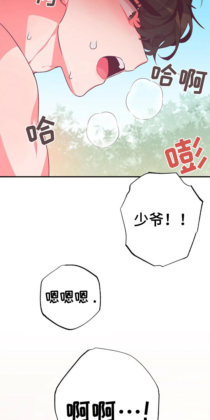 第16章：兔子的处境：爱慕（完）15