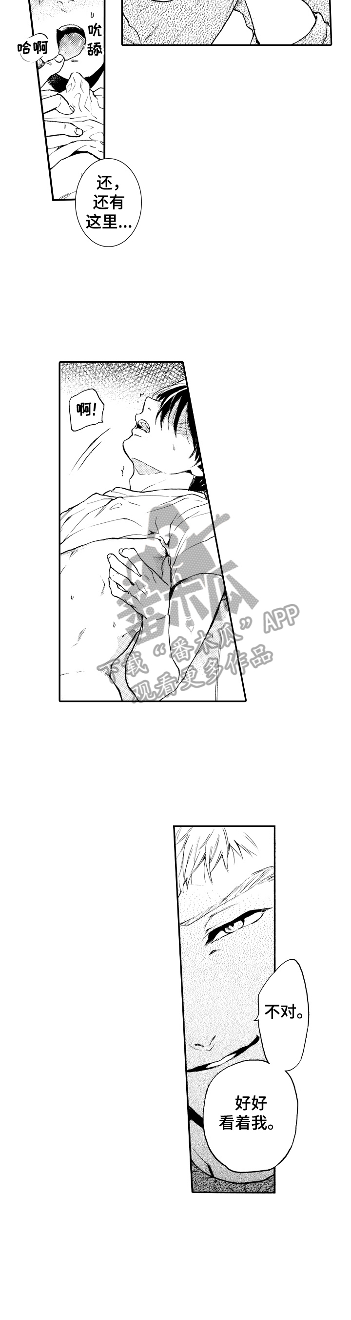 第19章：测试7
