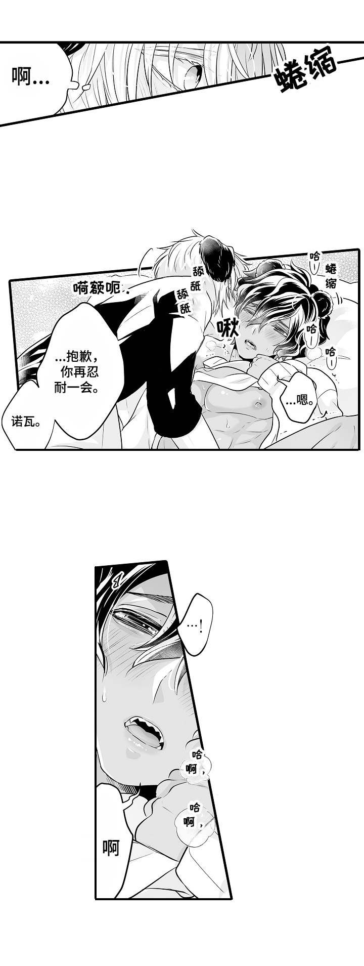 第13章：涂药7